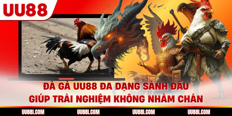 Đá gà UU88 đa dạng sảnh đấu giúp trải nghiệm không nhàm chán