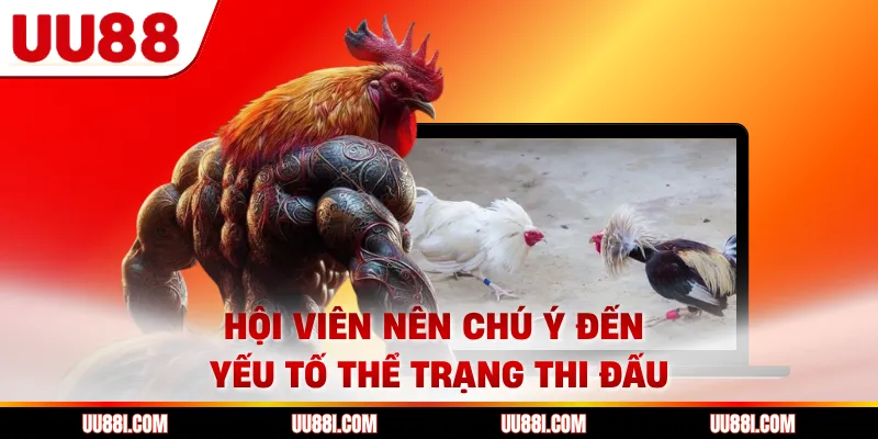 Hội viên nên chú ý đến yếu tố thể trạng thi đấu