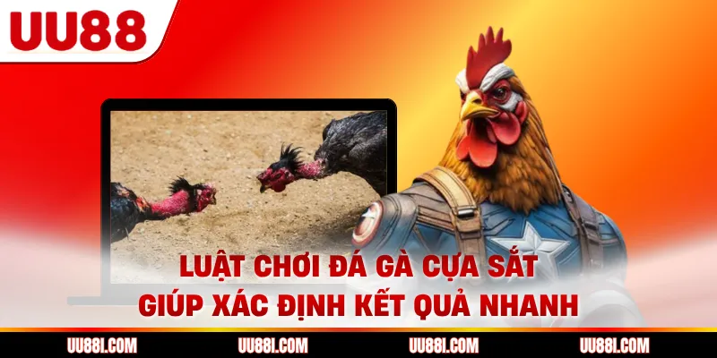 Luật chơi đá gà cựa sắt giúp xác định kết quả nhanh